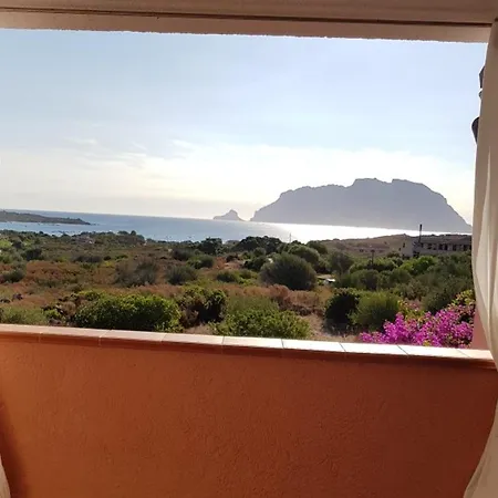 Elegant In With Sea View 올비아